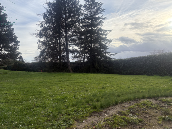 Offres de vente Terrain Saint-Didier-au-Mont-d'Or 69370