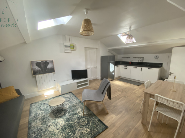 Offres de location Appartement Lyon 69007